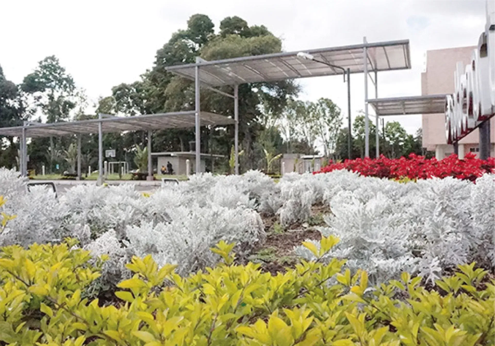 Macizo de jardín con plantas plateadas y verdes bajo estructuras de sombra metálicas.