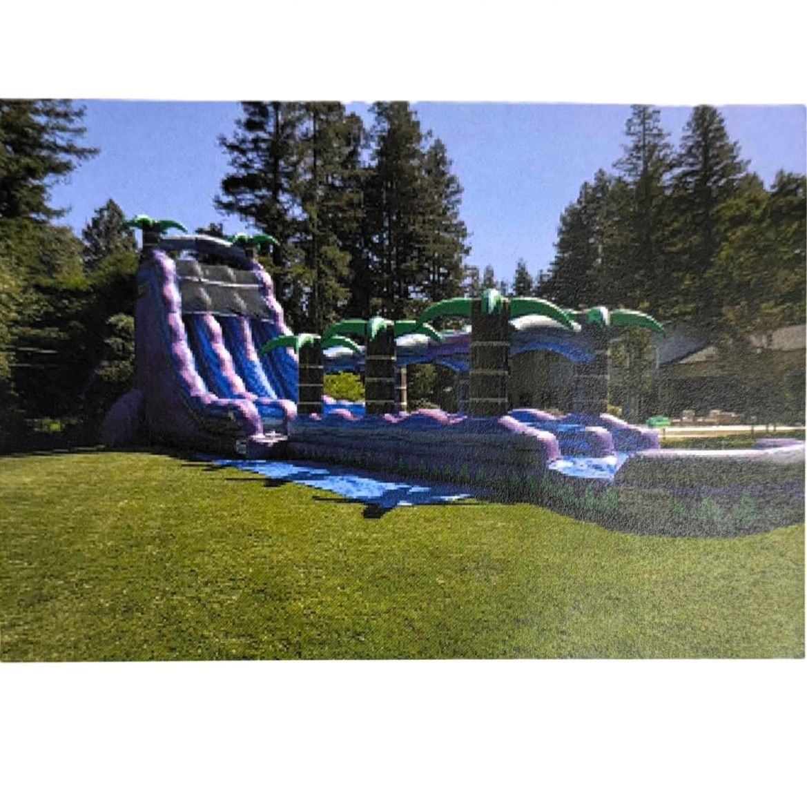 Blue inflatable triple slide with palm-tree decorations on a grassy field under a clear sky