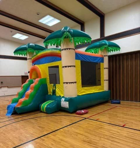 Colorful inflatable bounce slide on a grassy yard beside a brick house under a cloudy sky