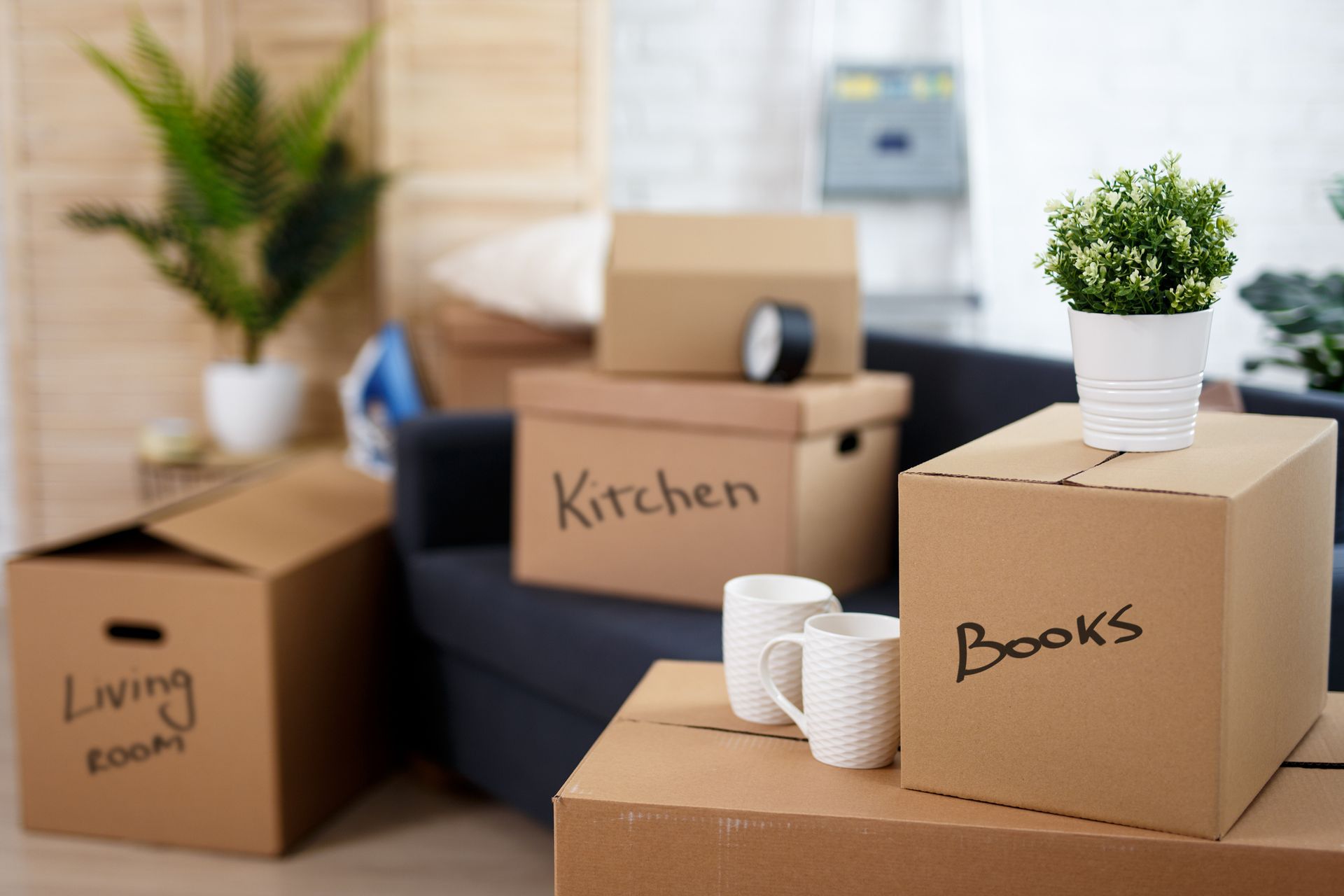 Box with Labels | Maryborough, QLD | Adam Charles Removals