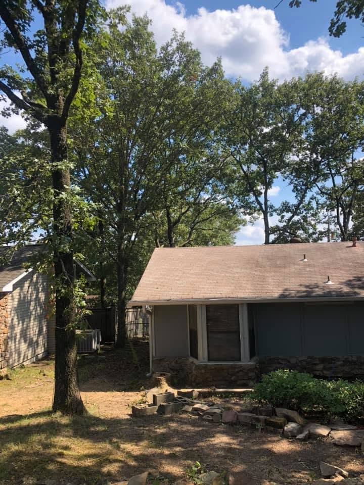 Tree removal project completed in Jacksonville AR