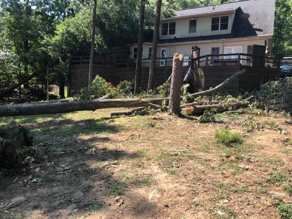 Partially felled tree and broken fence in a wooded yard beside a house