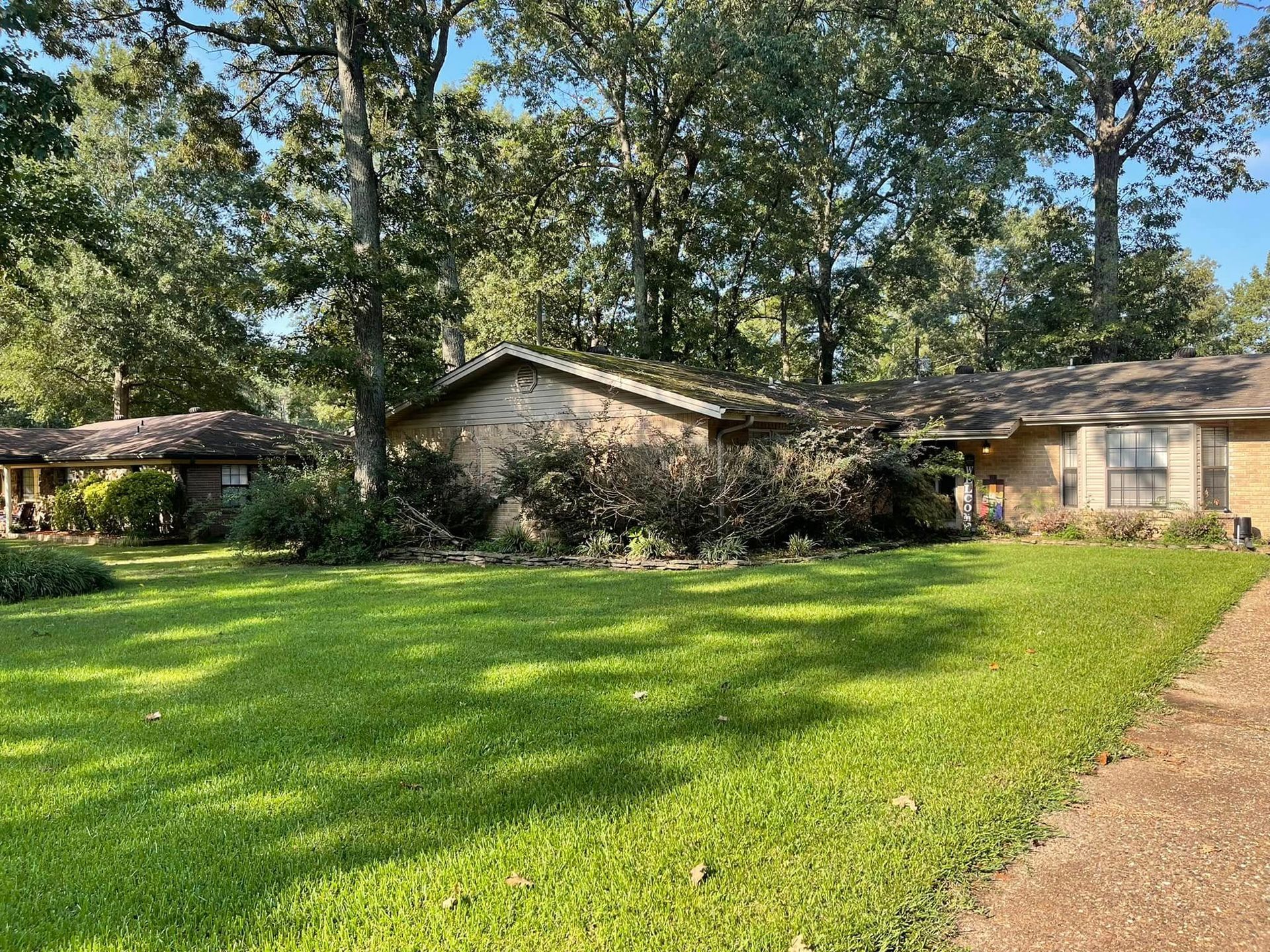 Suburban home with a large green lawn and trees, viewed from a driveway under clear daylight