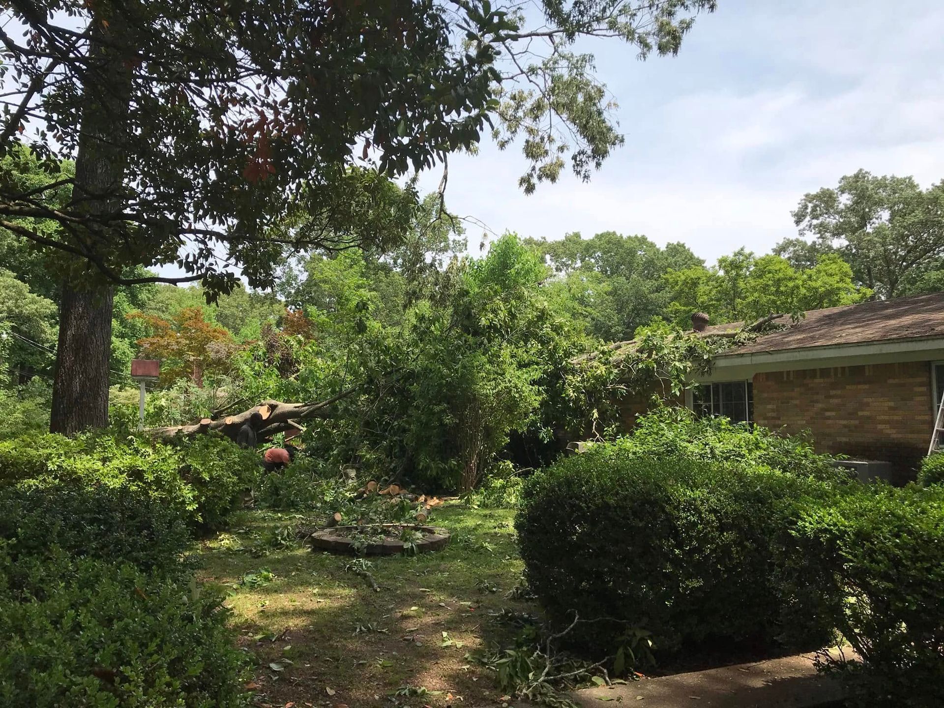 Crew clearing brush and fallen limbs from residential yard