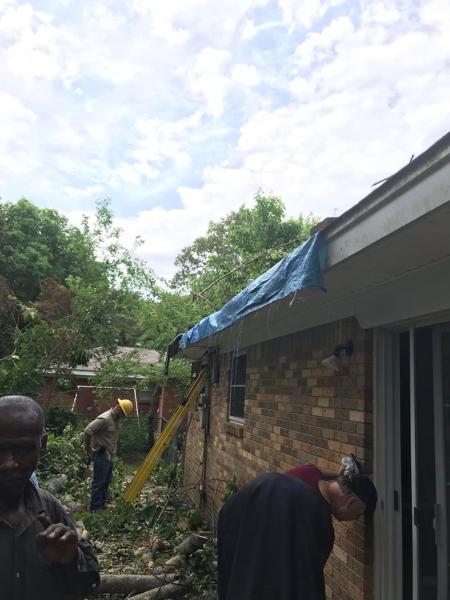 People trimming overgrown branches beside a house with a blue tarp on the roof