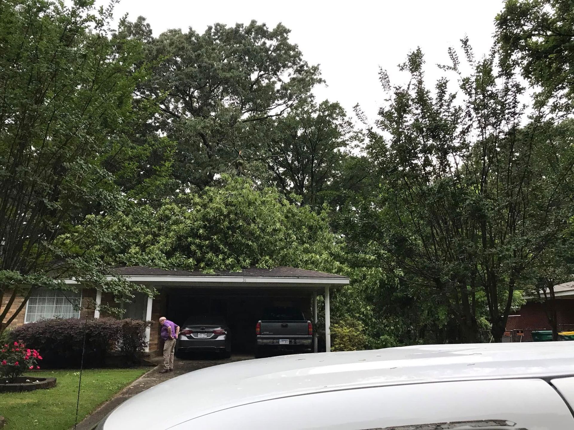 Tree-lined driveway with a carport and parked vehicles, with a white vehicle in the foreground.