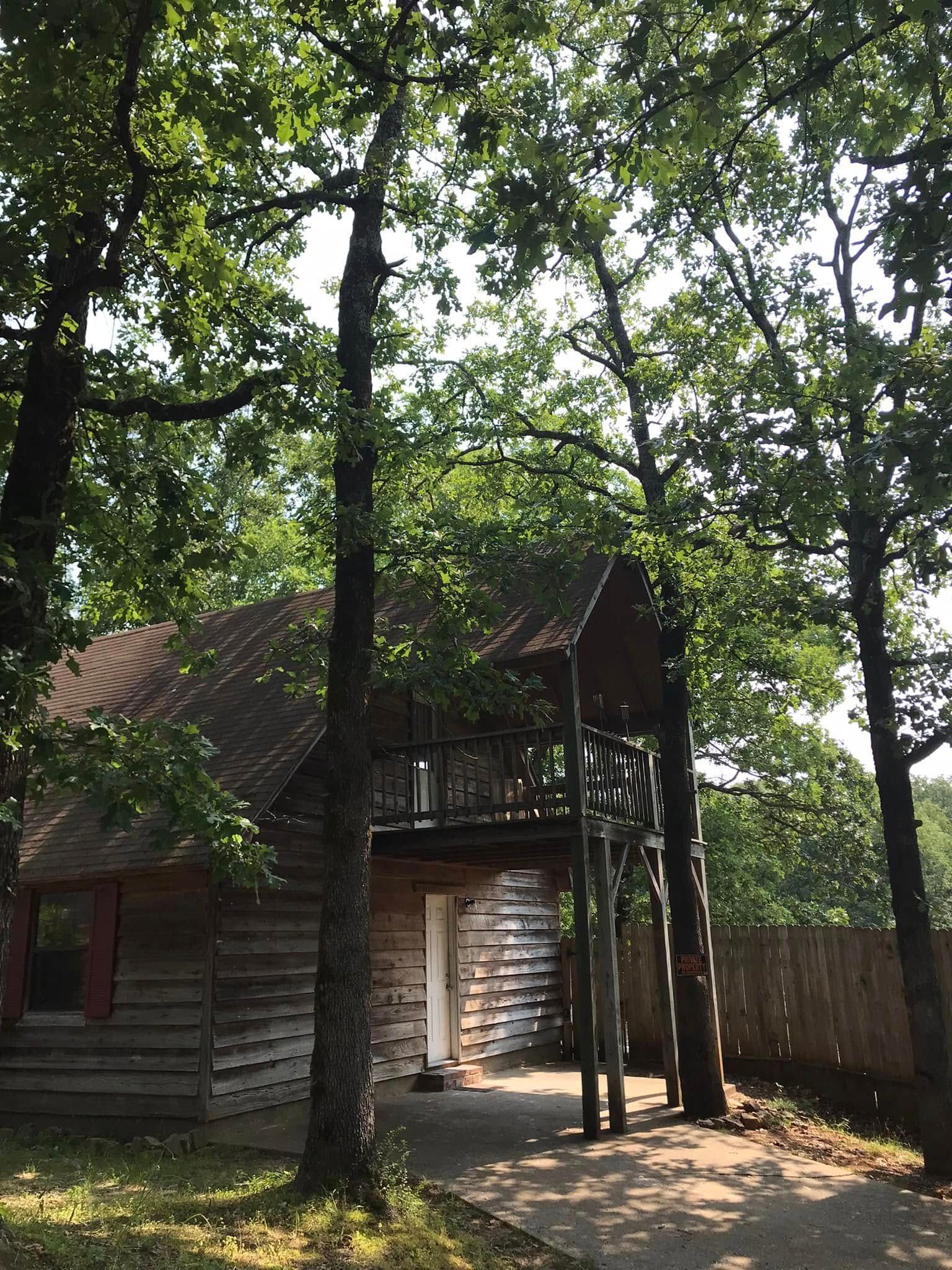 Wooden cabin under tall trees, with sunlight filtering through the forest and a fenced yard.