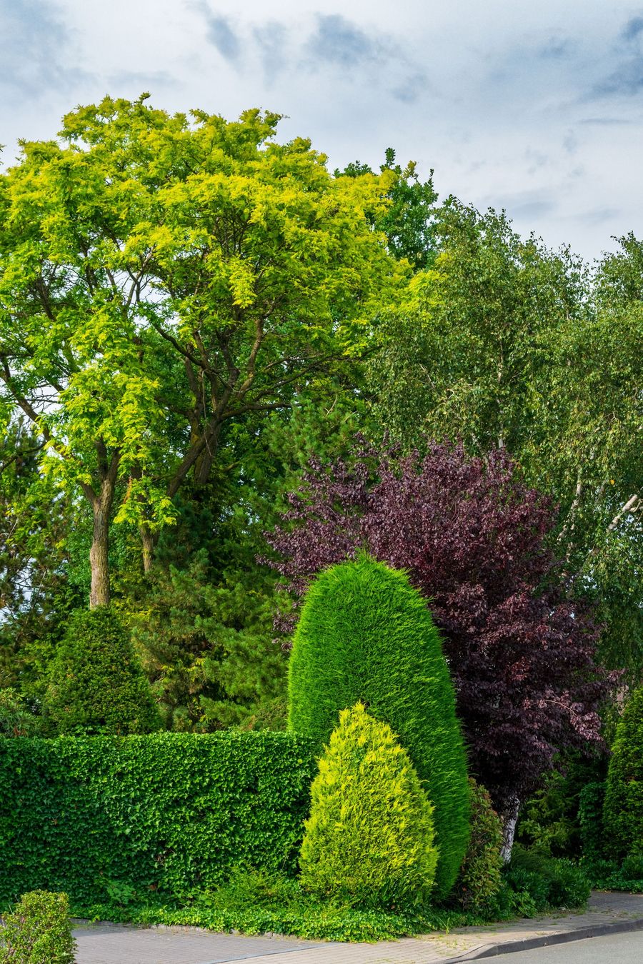 Manicured garden with bright green, purple, and yellow shrubs beneath tall trees