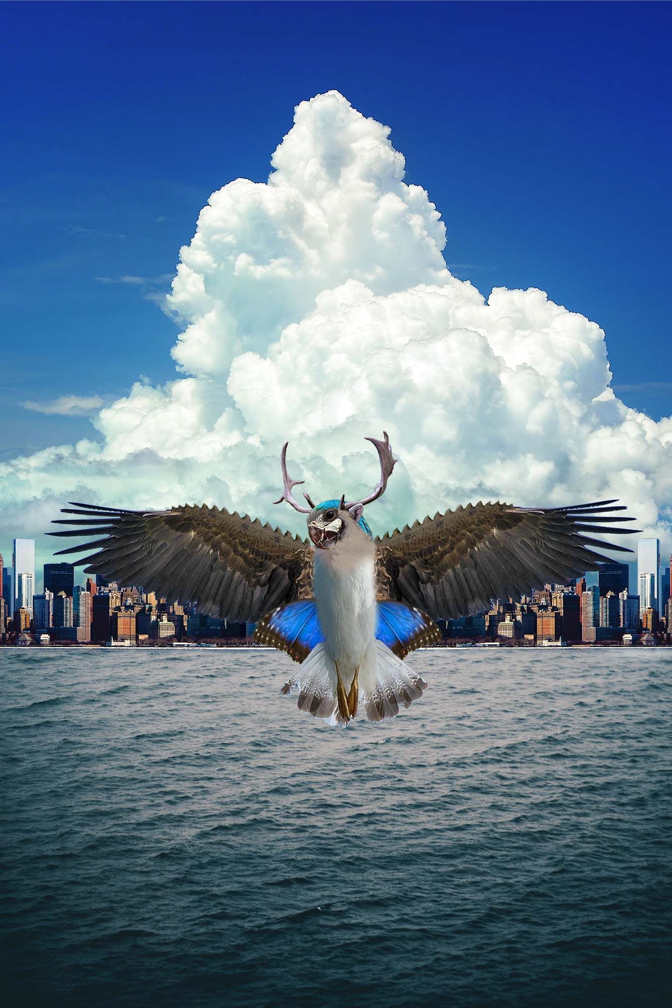 Ein Vogel fliegt über ein Gewässer mit einer Stadt im Hintergrund