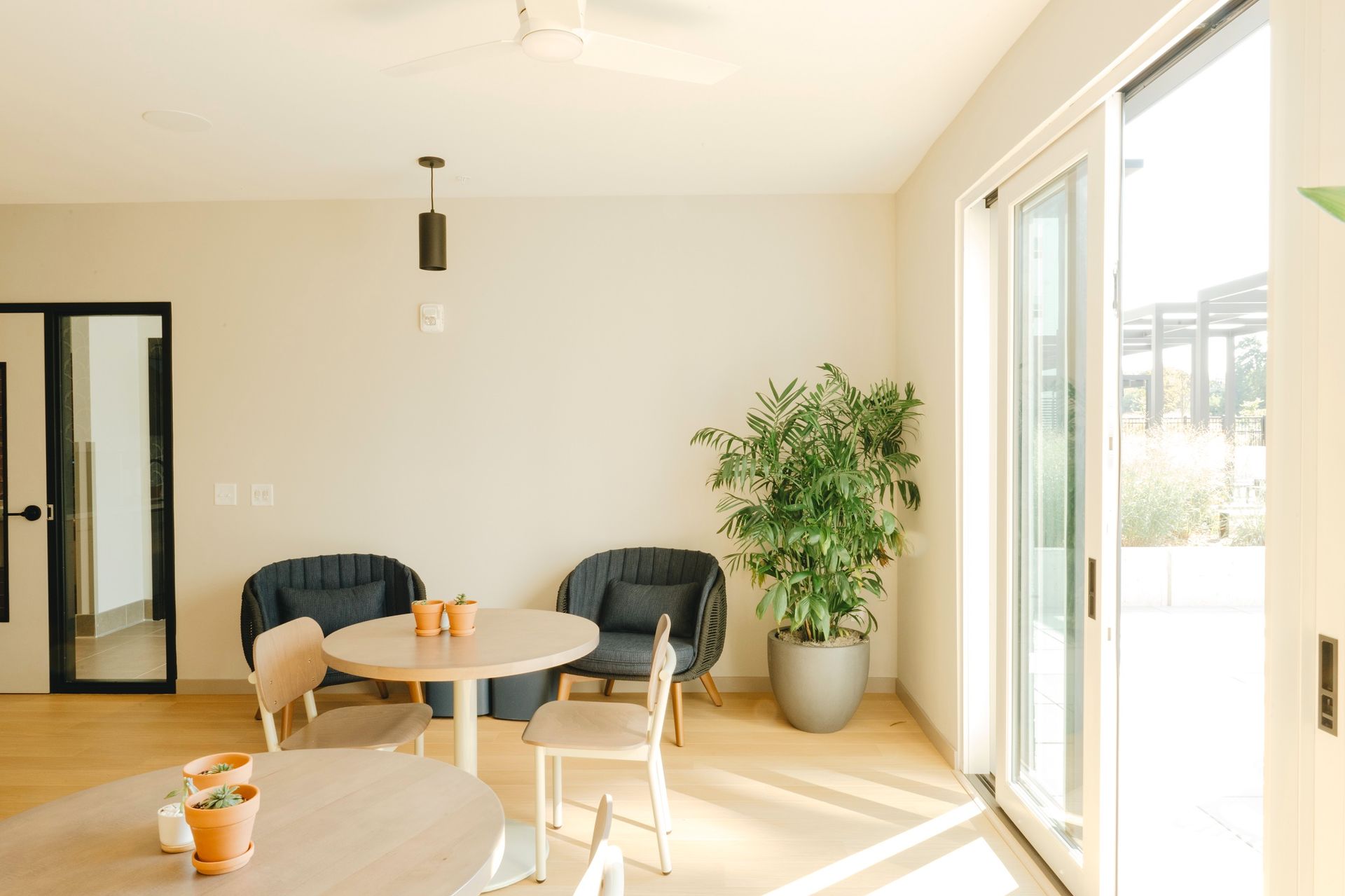 Bright room with round tables and chairs, a large plant, and glass doors leading outside at Revelry in Madison, WI.