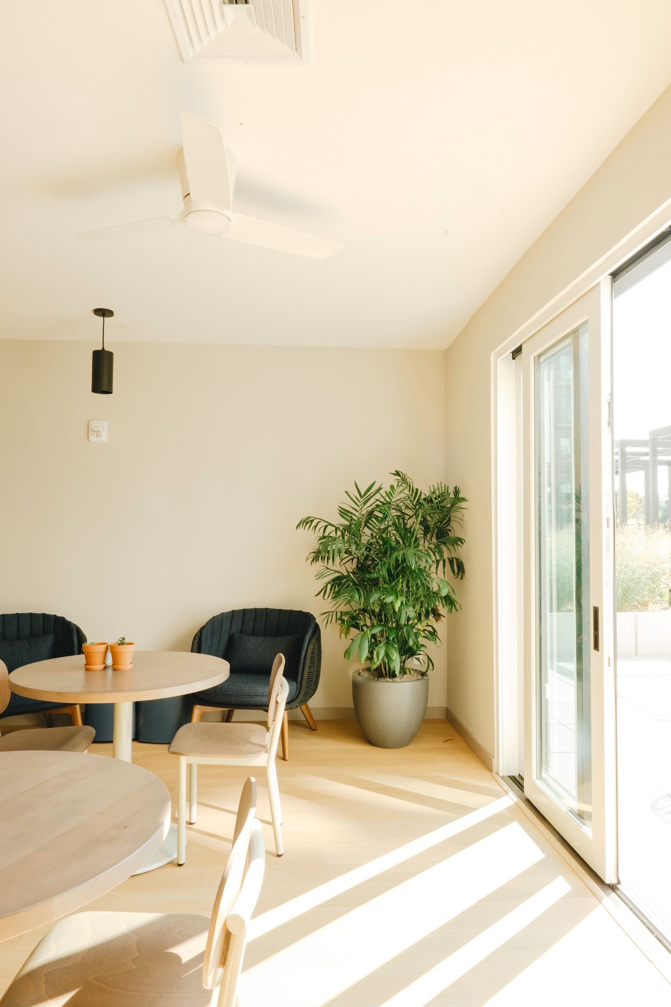 A bright, airy room with round tables, chairs, a large potted plant, and sliding glass doors at Revelry in Madison, WI.