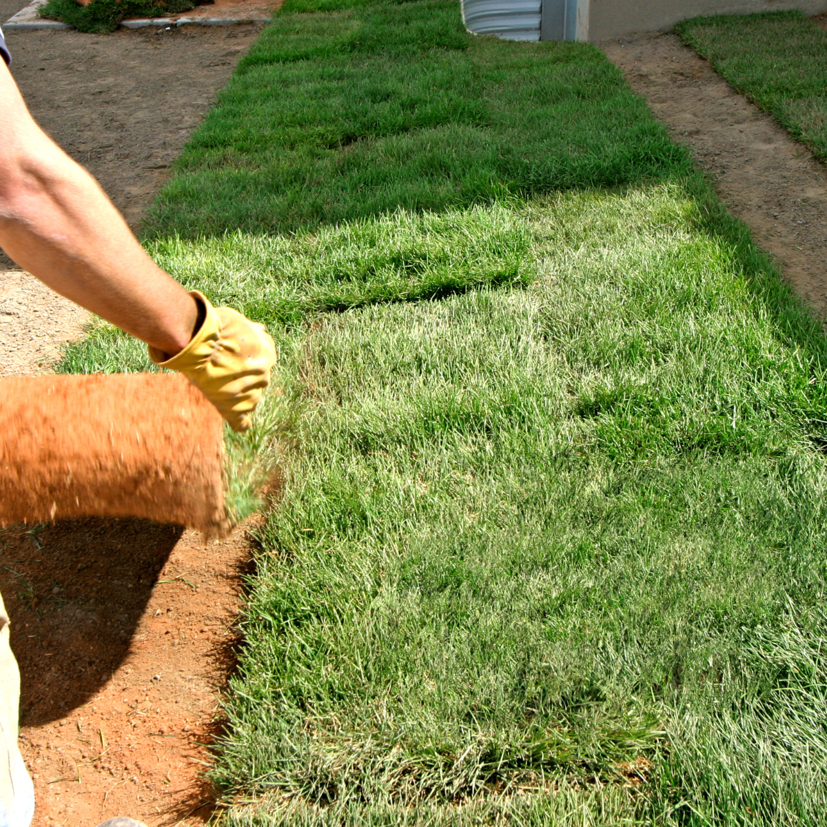 landscapers in sierra vista az