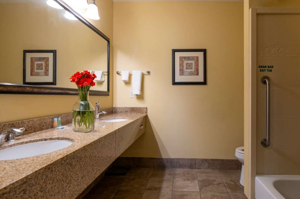 Bathroom with beige walls, granite countertop with sinks, flower vase, artwork, and shower with grab bar.