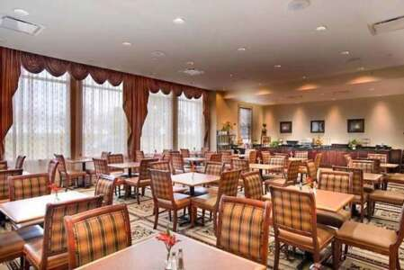 A dining room with tables and chairs, large windows, brown and beige tones, and a buffet area in the back.