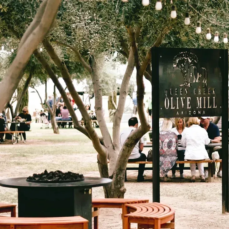Outdoor dining area under trees with string lights, benches, and a sign reading