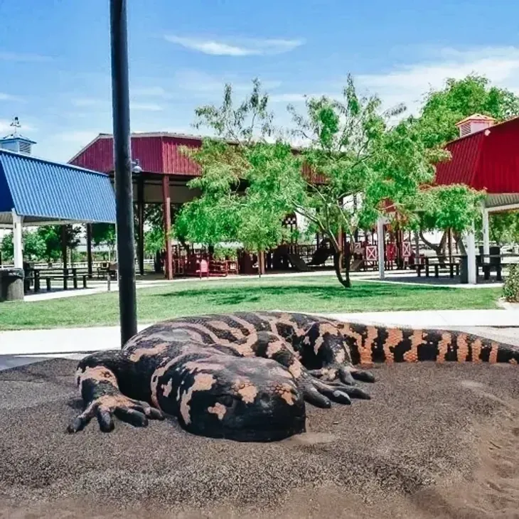 Large black-and-orange monitor lizard resting on gravel in a park with red buildings and trees in the background