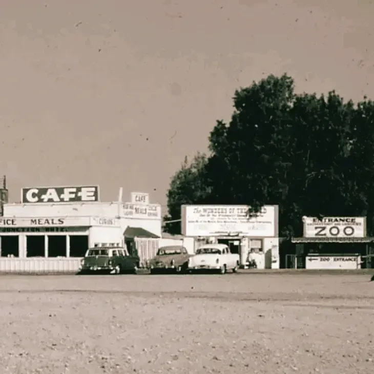 Vintage roadside café and zoo signs with parked cars in front, viewed from across a dusty lot.
