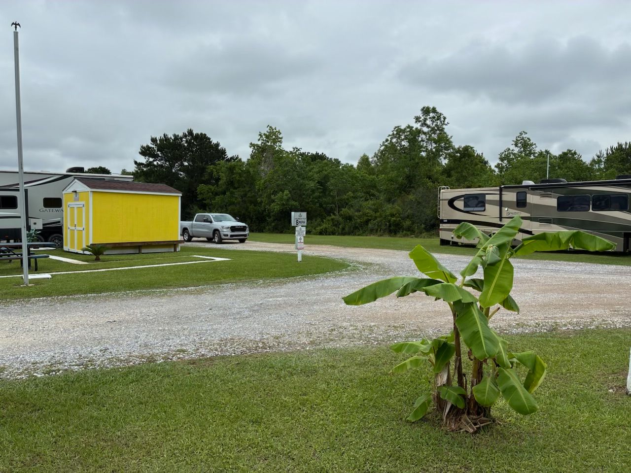 Gravel lot with a small yellow shed, parked vehicle, and a banana plant in the foreground under cloudy skies