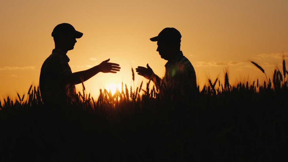 Garden Centre in Gympie Sauers Produce & Garden Centre