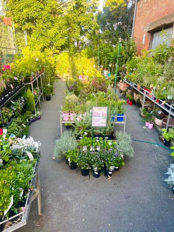 Nursery in Gympie Sauers Produce & Garden Centre
