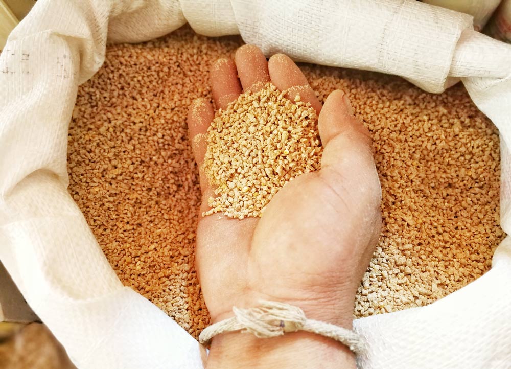 The Hands Of The Farmer To Check The Food Quality For Raising Chicken To Consume — Chicken & Stock Feed in Gympie, QLD