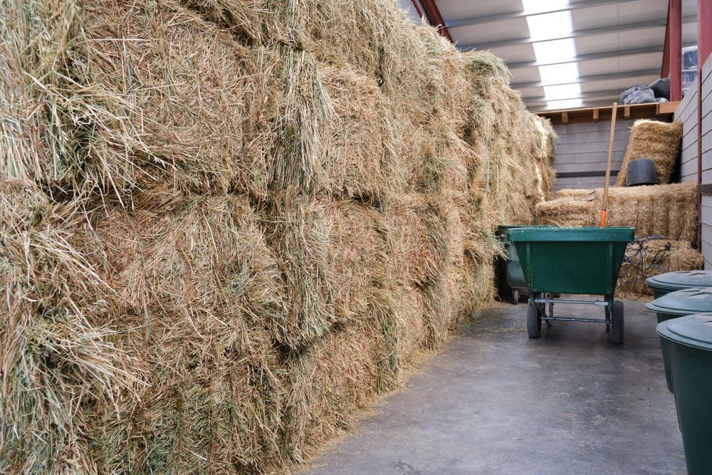 Bales of Hay — Rural Supplies Store & Garden Centre in Gympie, QLD