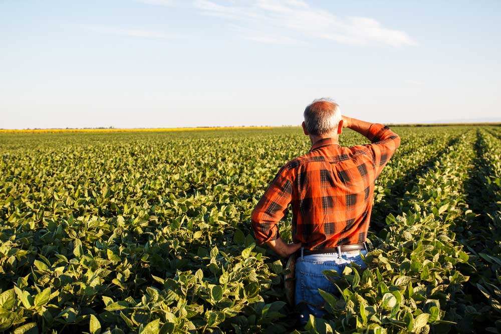 Senior Farmer In A Field Looking Into The Distance — Rural Supplies Store & Garden Centre in Gympie, QLD