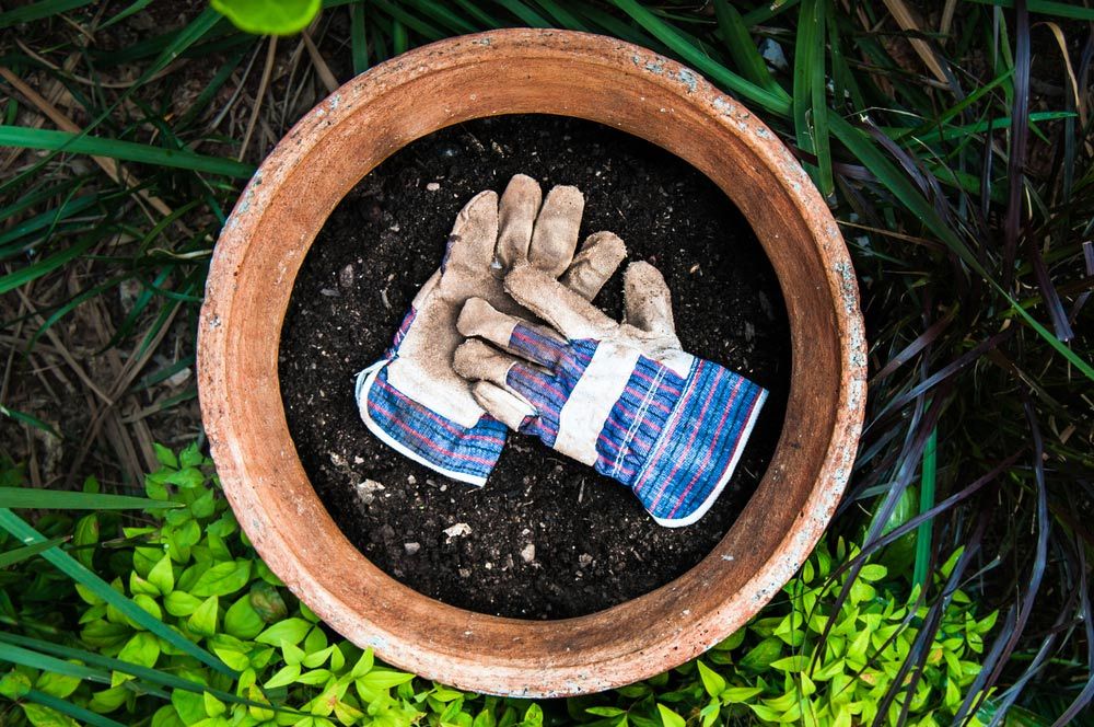 View Gloves — Garden Tools in Gympie, QLD