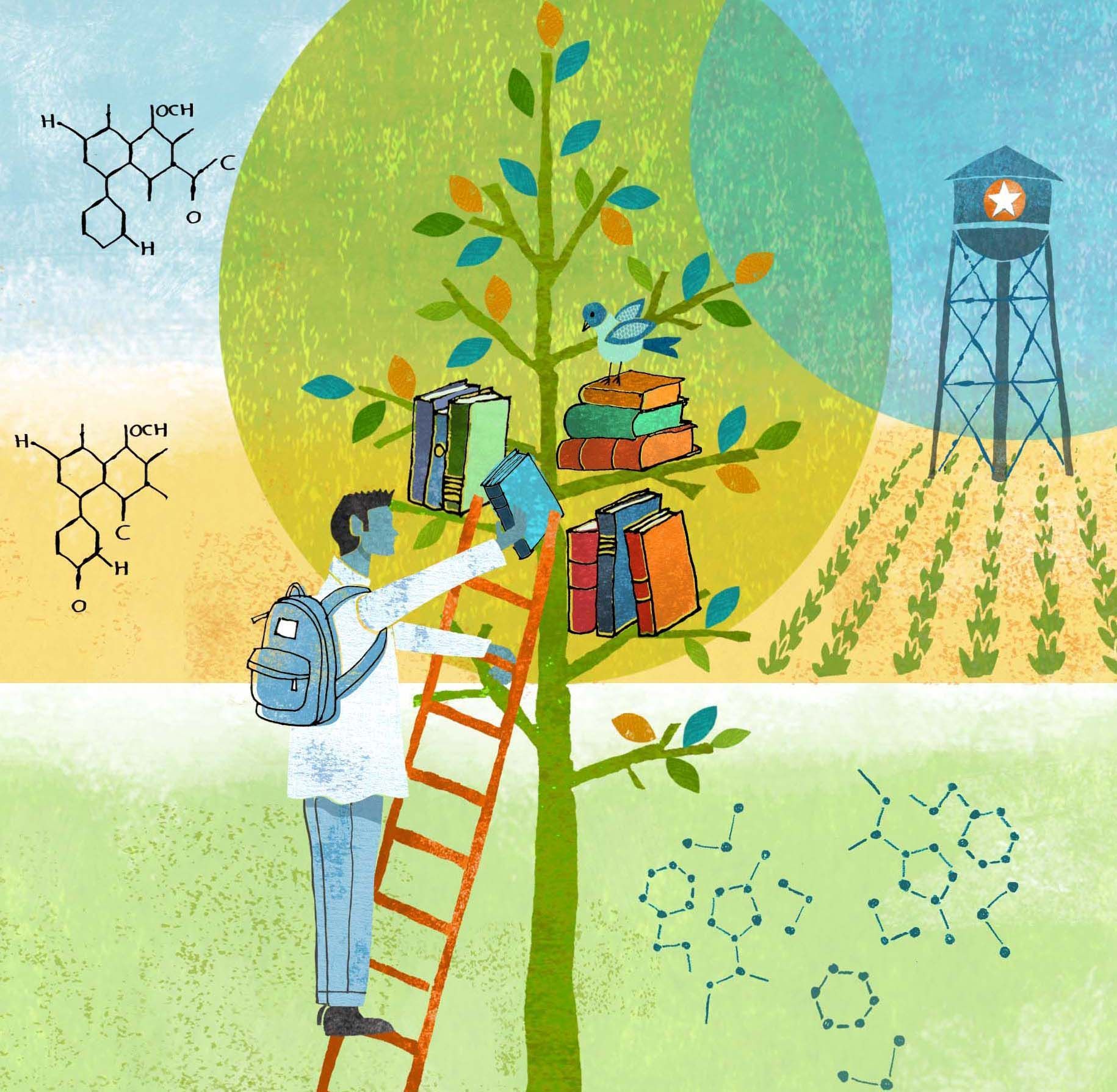 Illustration of a female physician surrounded by an organic landscape of botanicals and butterflies,