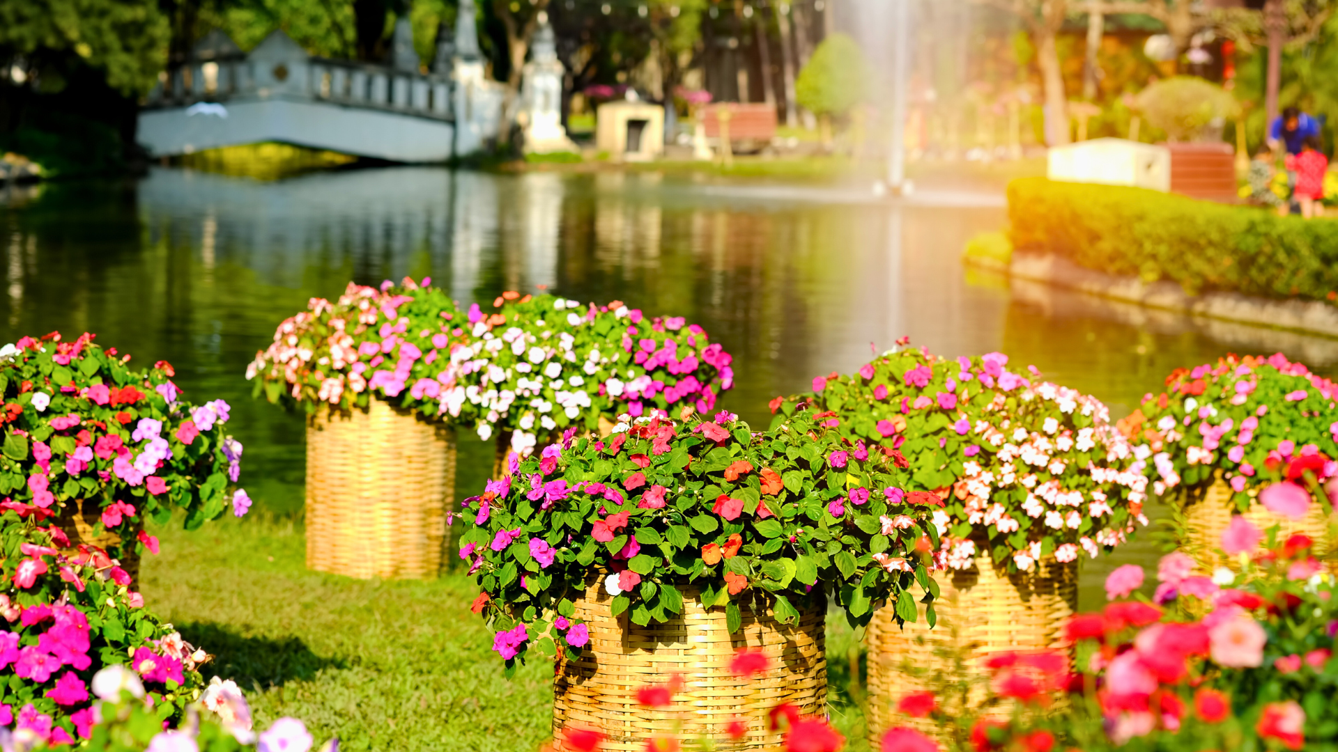 Flower Garden