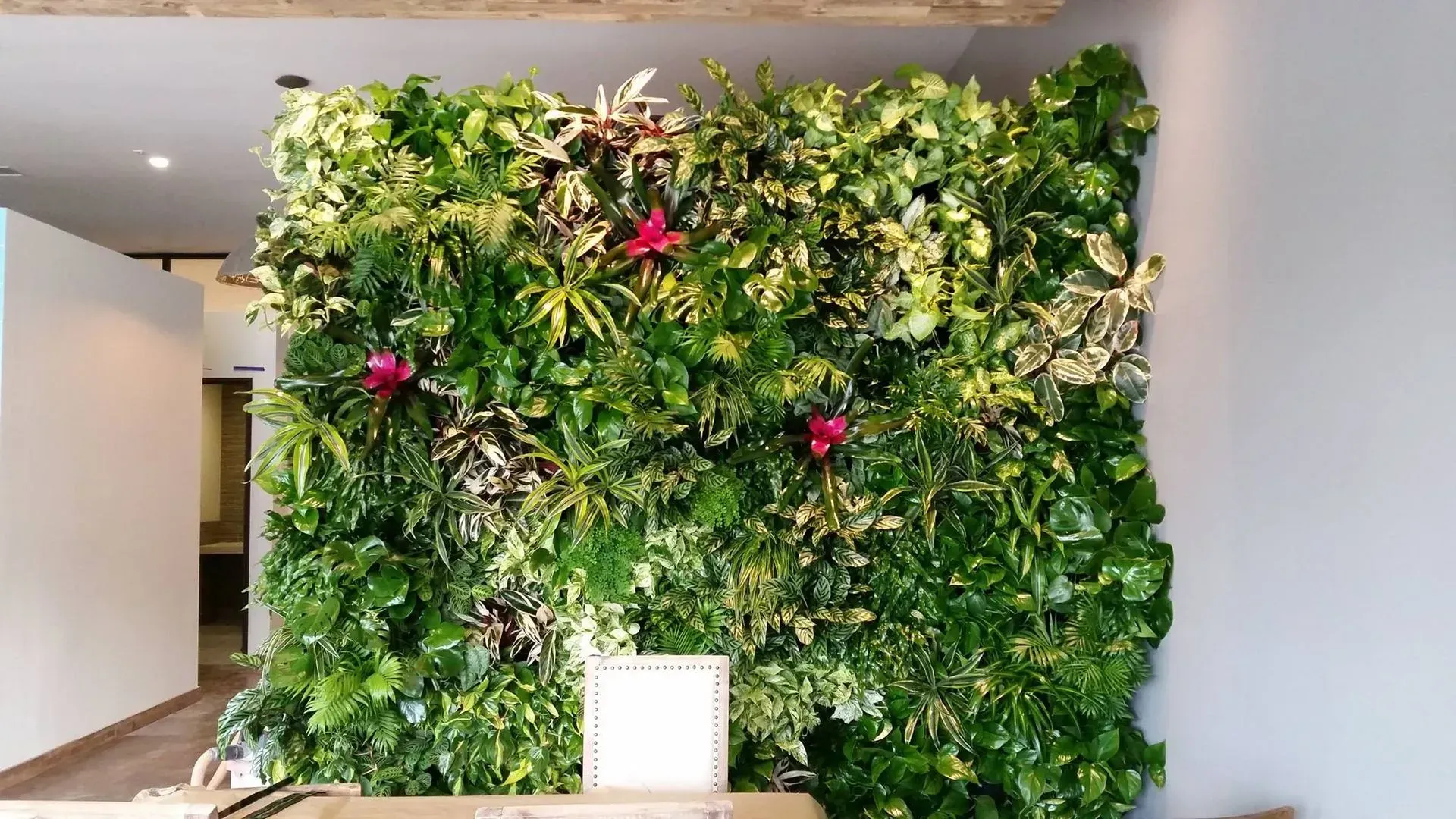 Green living wall with diverse foliage and a few red flowers.