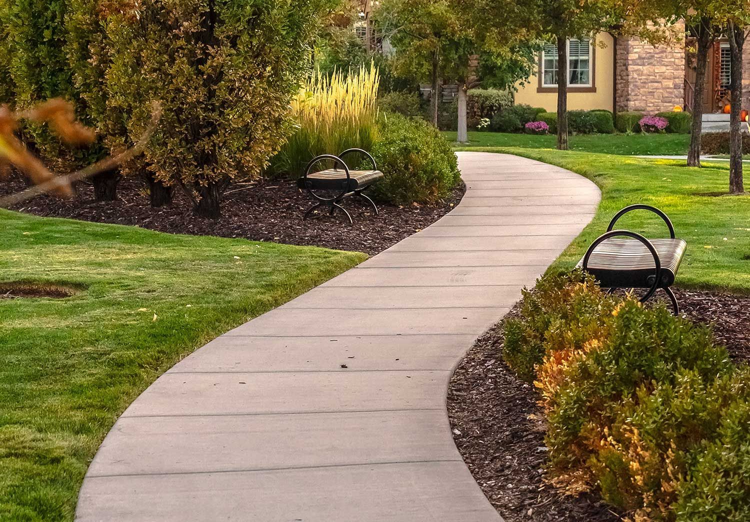 Curving concrete garden path beside manicured shrubs