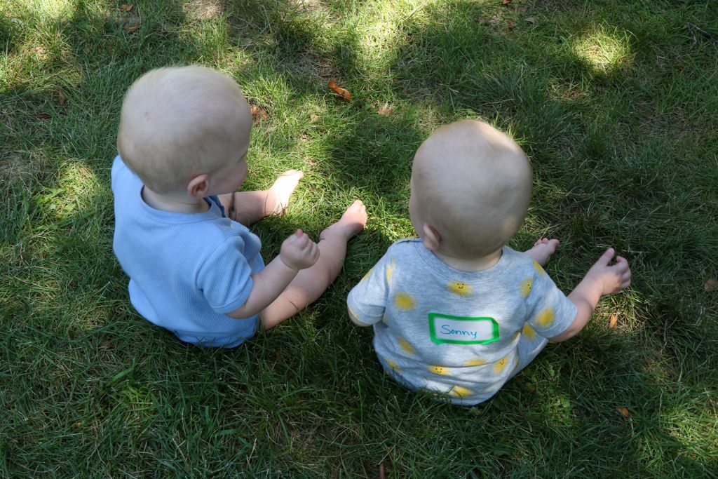 Two bald babies in the grass, one in a blue shirt, the other in a patterned shirt, facing away.