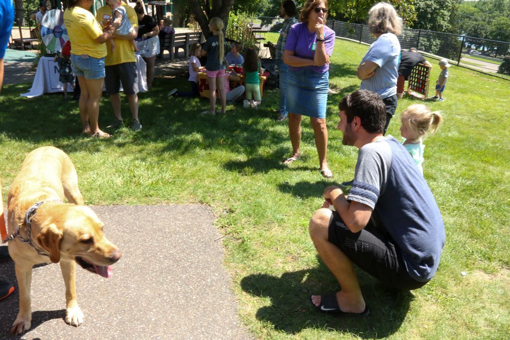 Man interacting with a yellow dog and a small child in a park; people in the background. Sunny day.