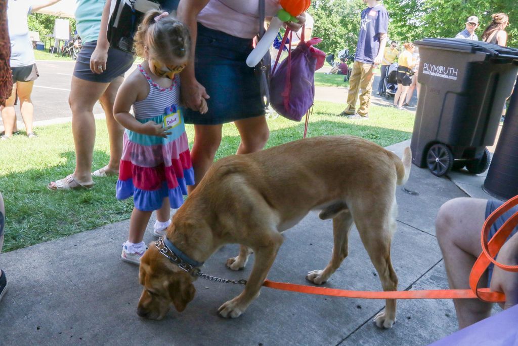 A dog on a leash sniffs the ground while a child in a dress looks down at the ground near the dog on a sidewalk.