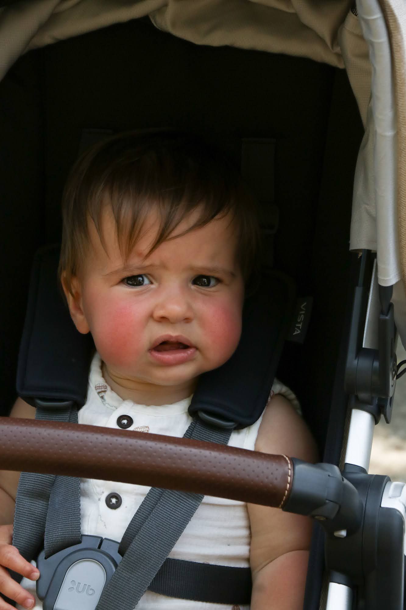 Baby with rosy cheeks strapped in a stroller, looking concerned.
