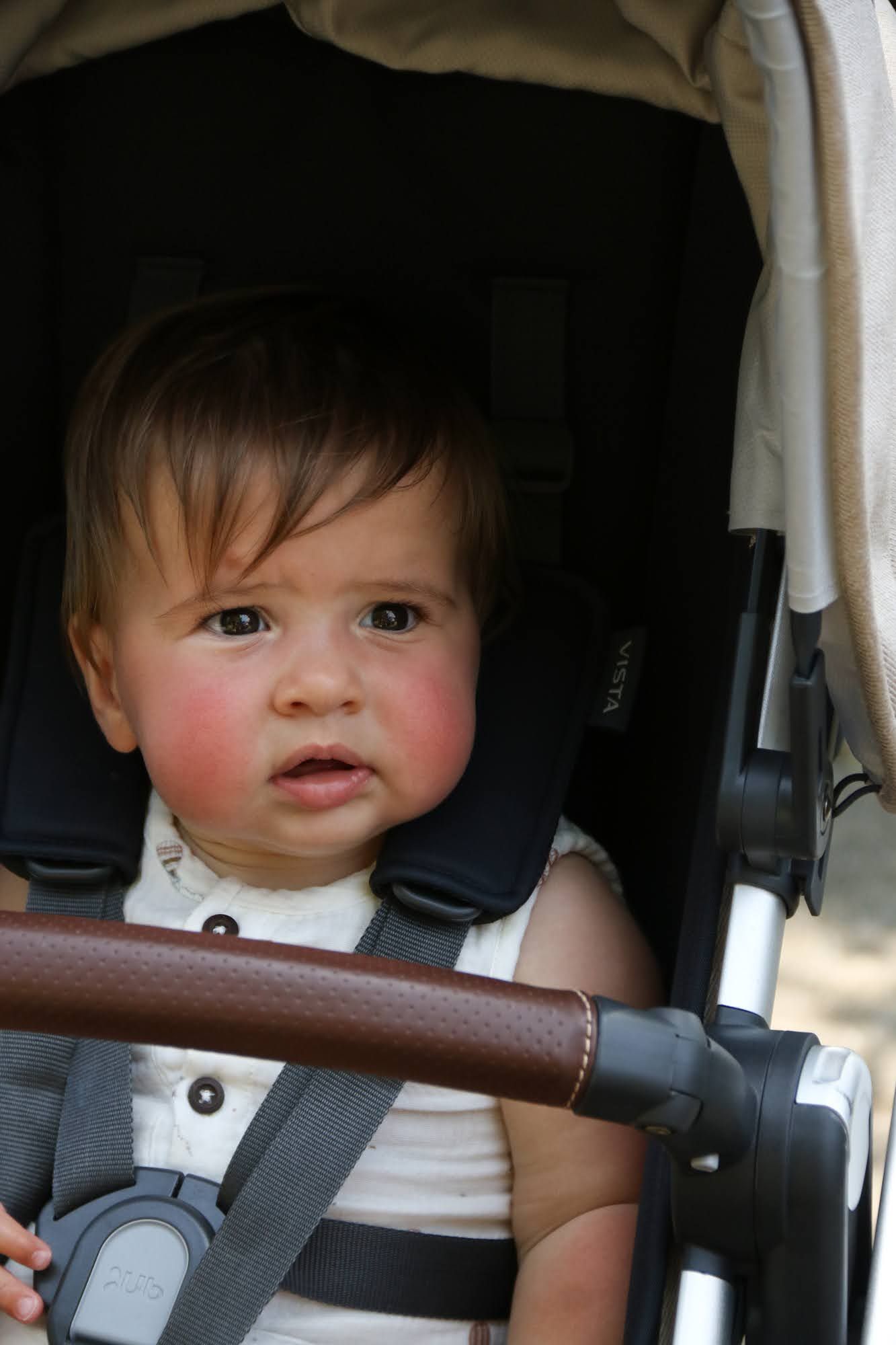 Baby sitting in a stroller, looking forward. Baby is wearing a white top and secured by straps, with pink cheeks and brown hair.