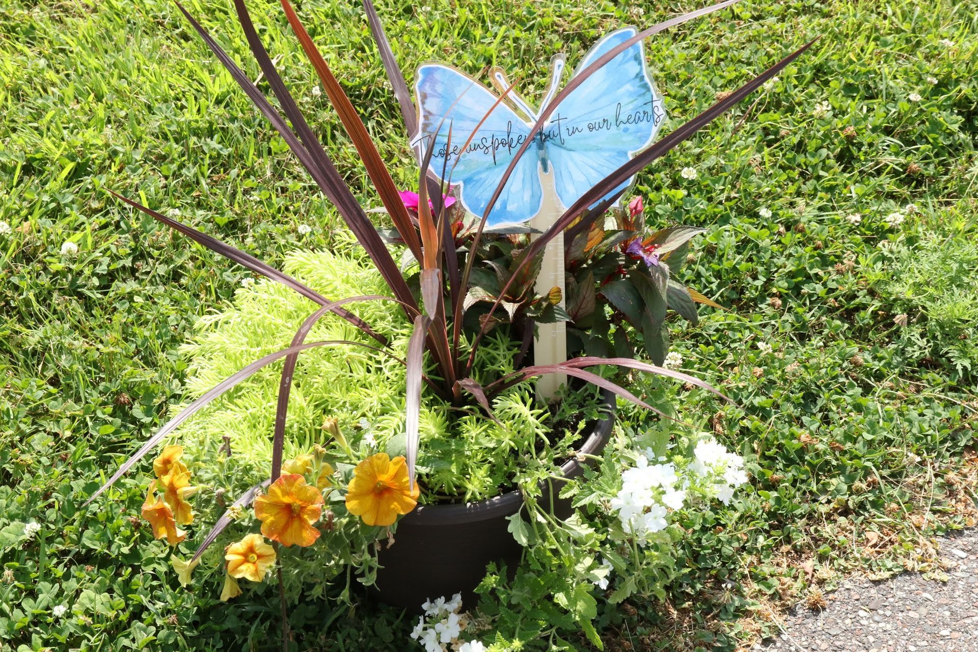 Flower pot with colorful blooms, dark purple stalks, and a blue butterfly sign.