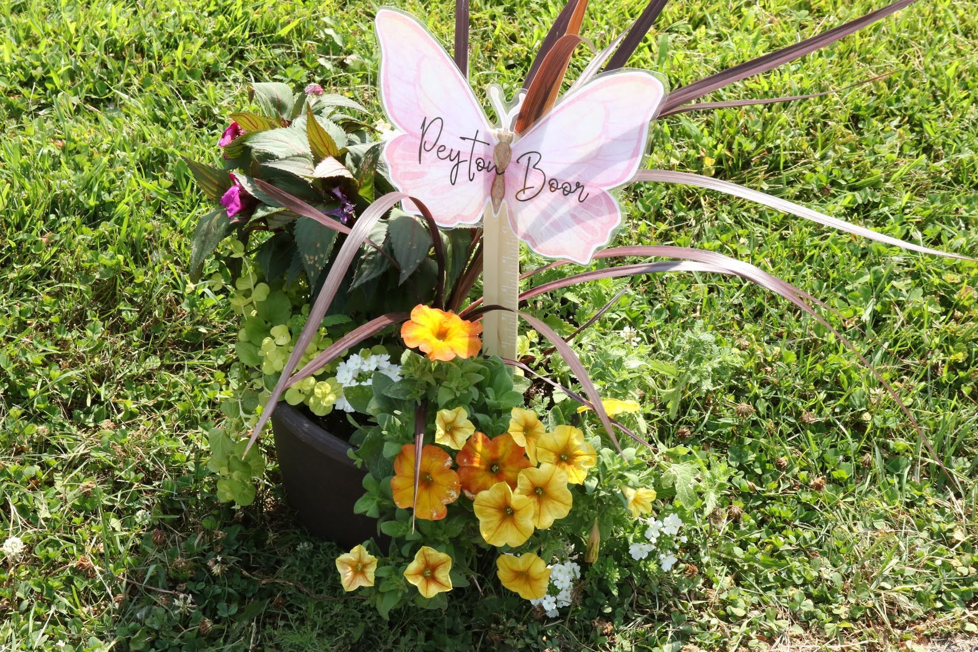 Colorful flowers in a dark square pot with a butterfly sign that reads 