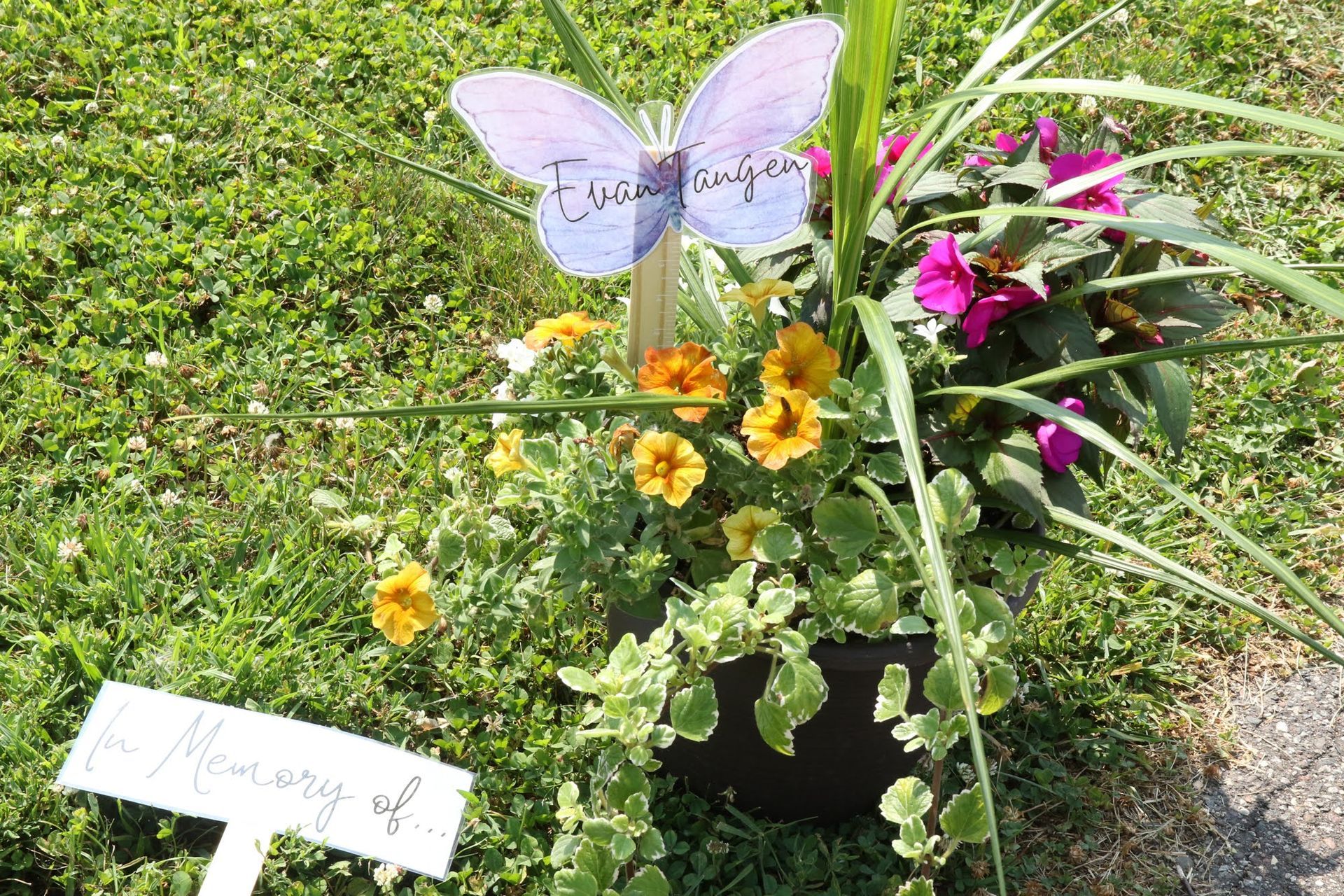 Floral arrangement with butterfly sign, 