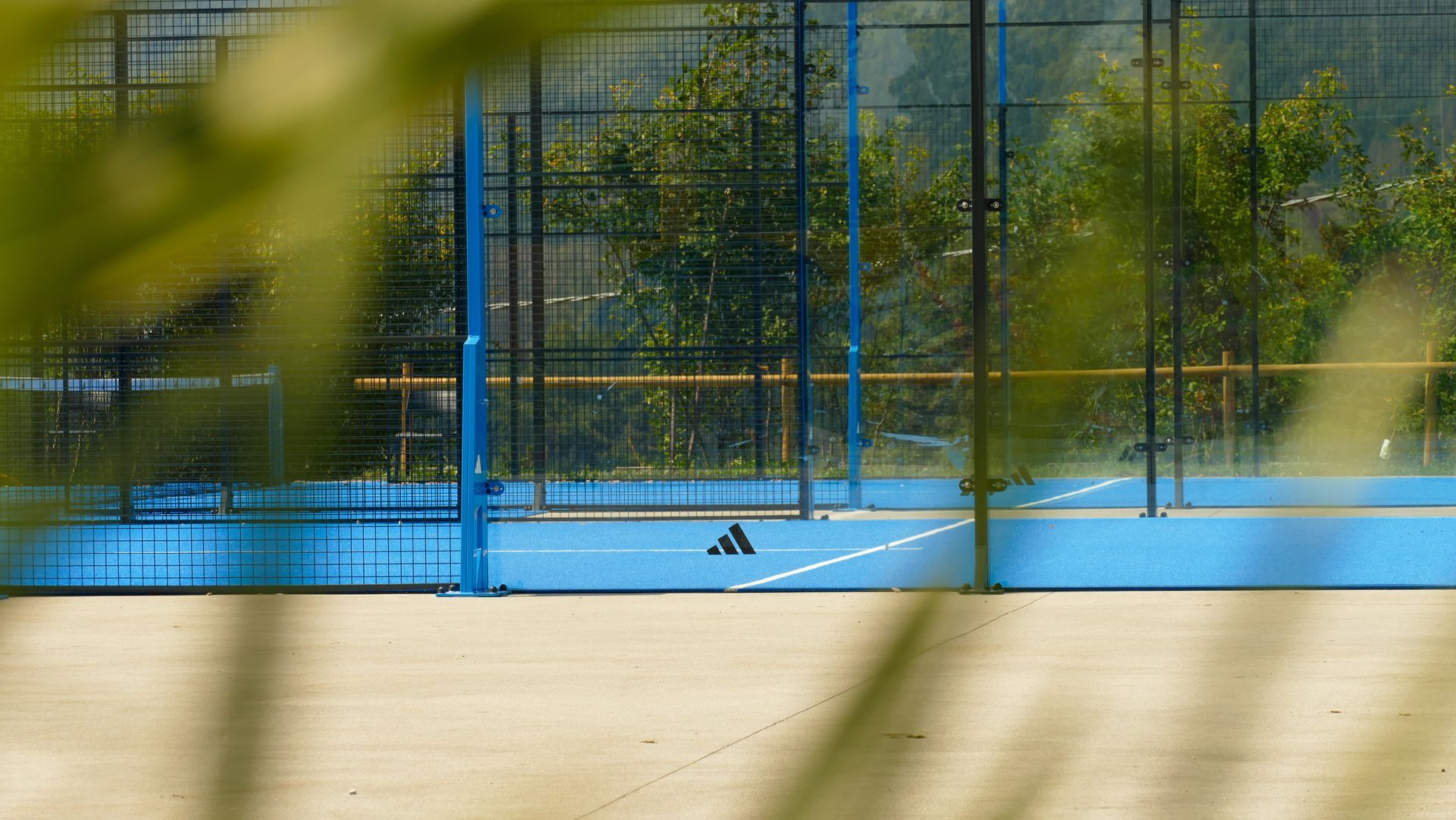 Campo da padel blu con rete nera e alberi verdi sullo sfondo, visibili attraverso il fogliame sfocato.
