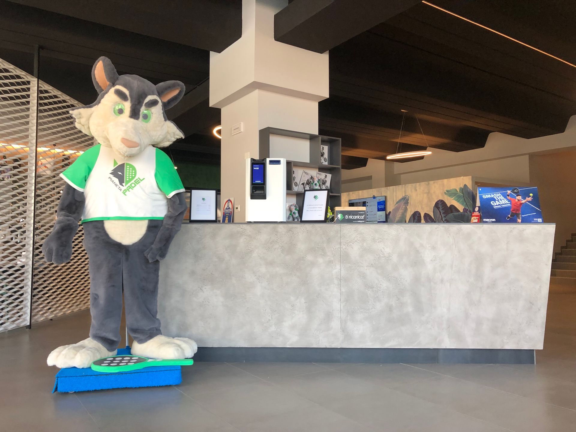 Un lupo mascotte con una maglietta verde è in piedi accanto al bancone della reception. Il bancone è color cemento e grigio. 