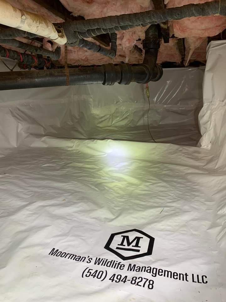 Crawl space with white plastic vapor barrier installed. Black pipes and insulation visible. Moorman's Wildlife Management logo.