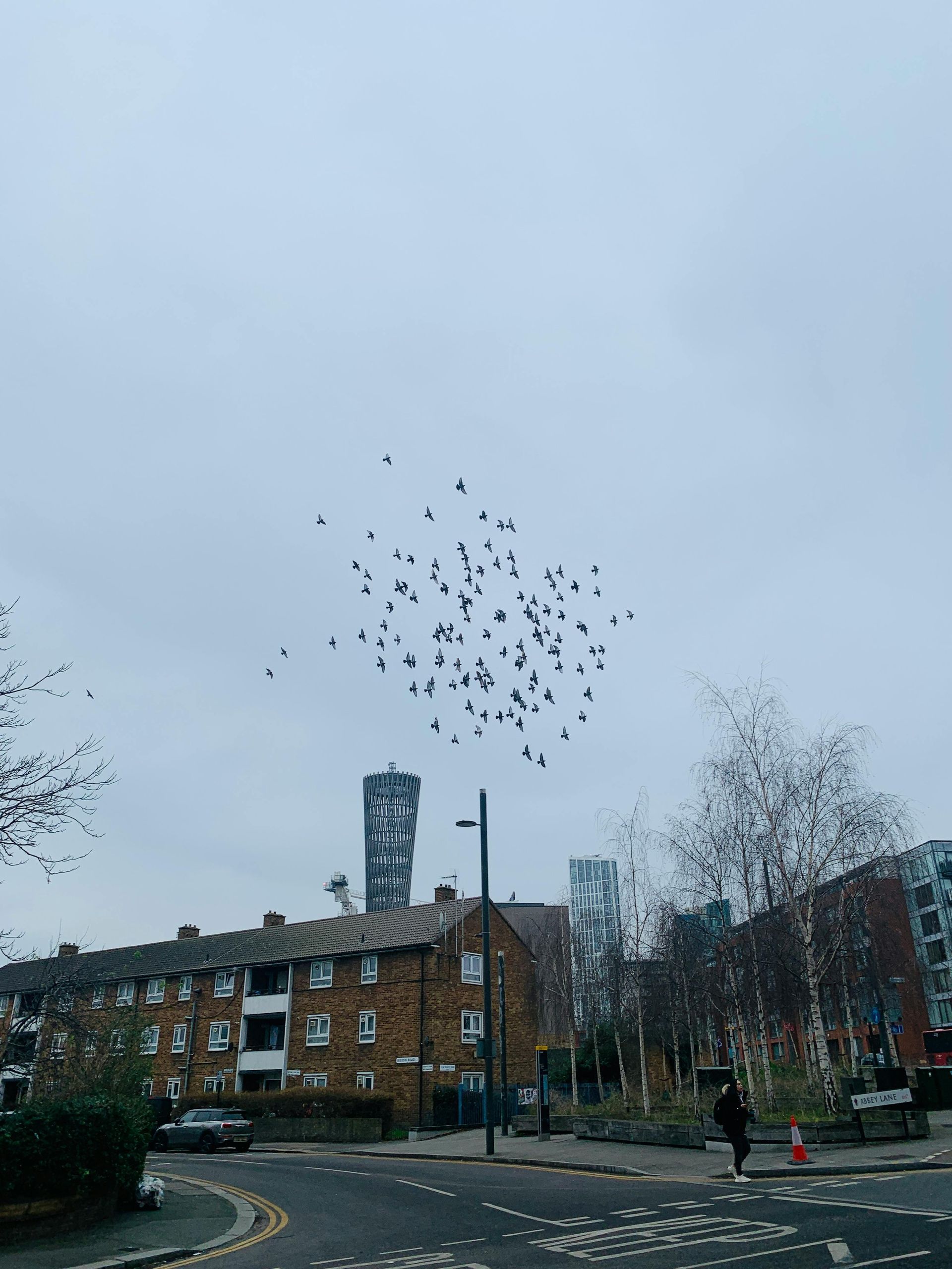 Birds flock in a cloudy sky above a city street with buildings and a tower.