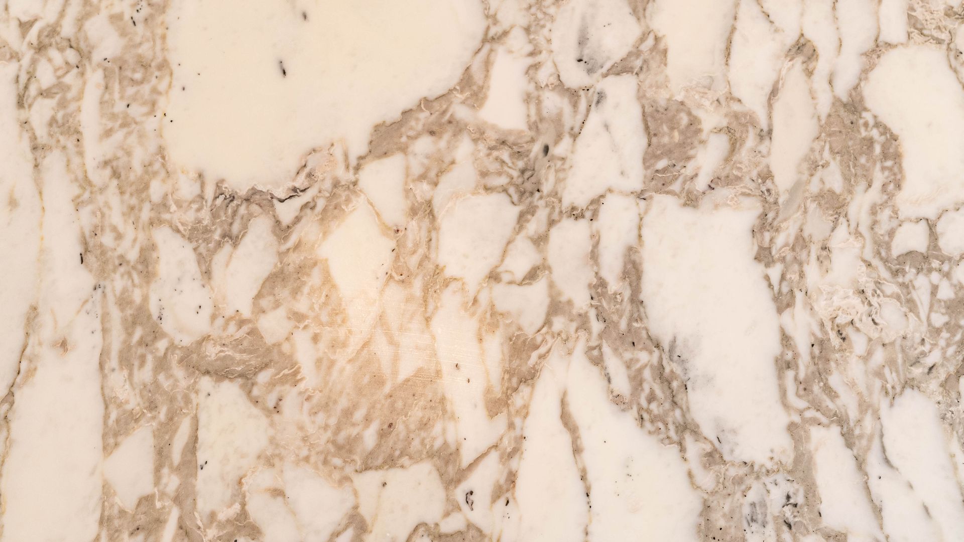 A close-up view of polished marble with a white base and intricate, jagged tan and grey veins.