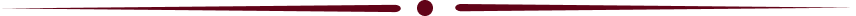 A mostly white image with a thin dark maroon line along the top edge and a small dark shape near the center.