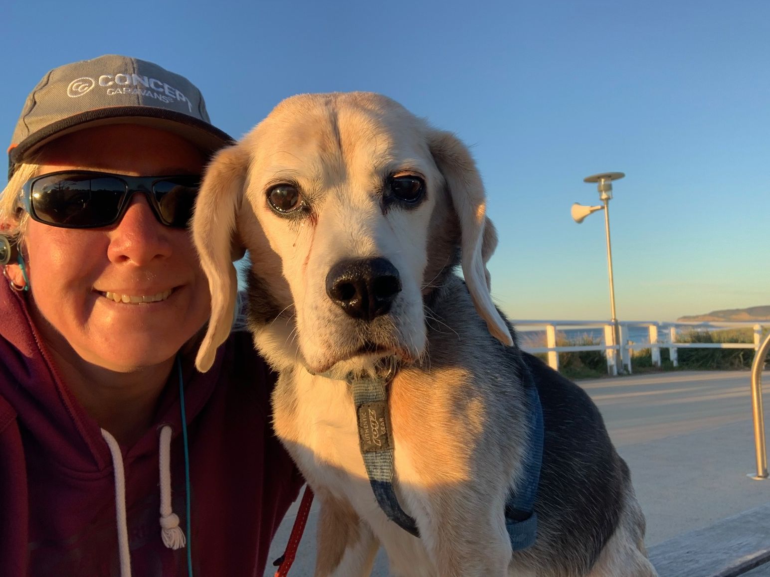 Administrator with Dog - Grafton Vet