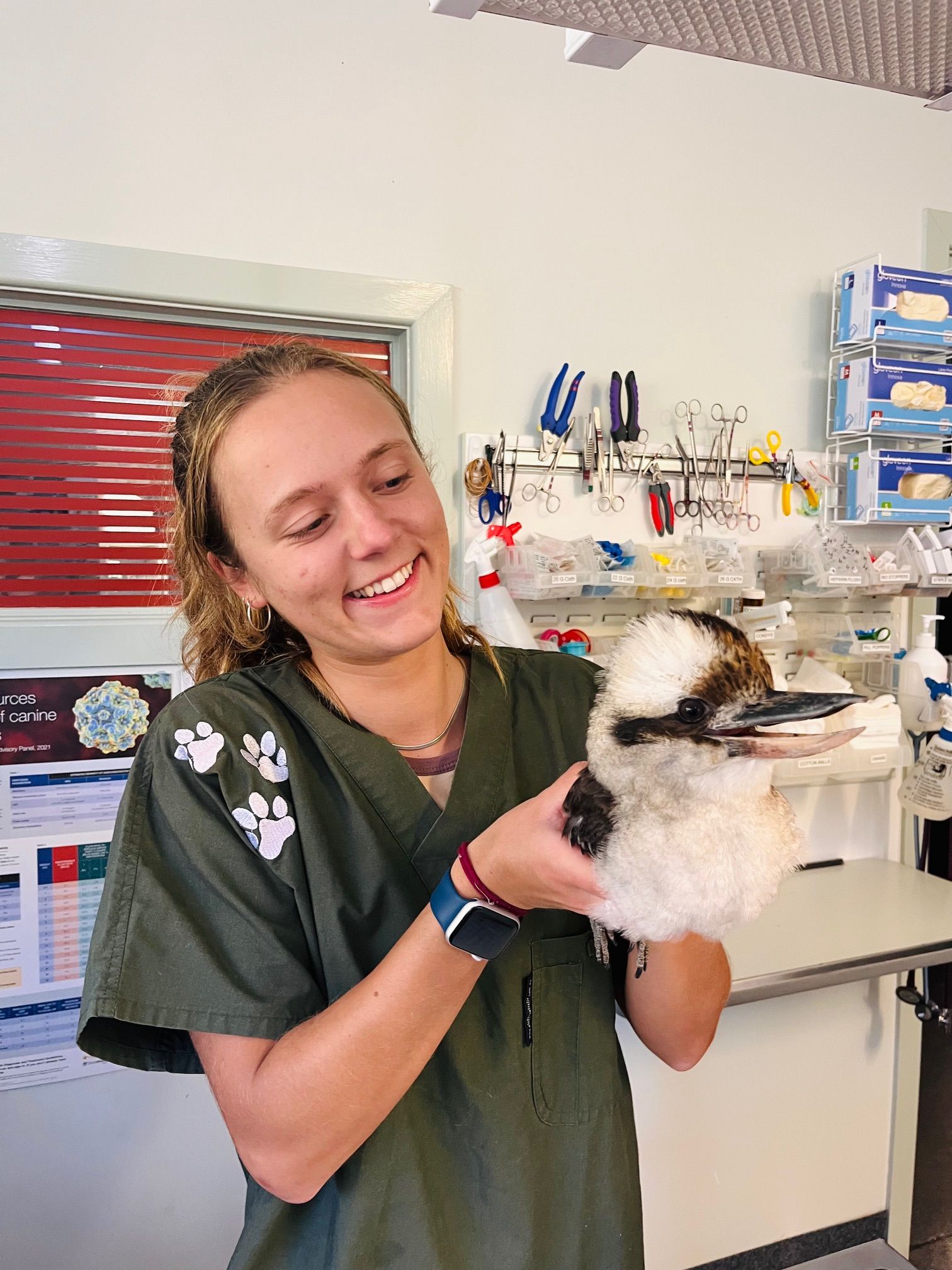 Annabelle, Veterinarian — Animal Health Care in Grafton, NSW