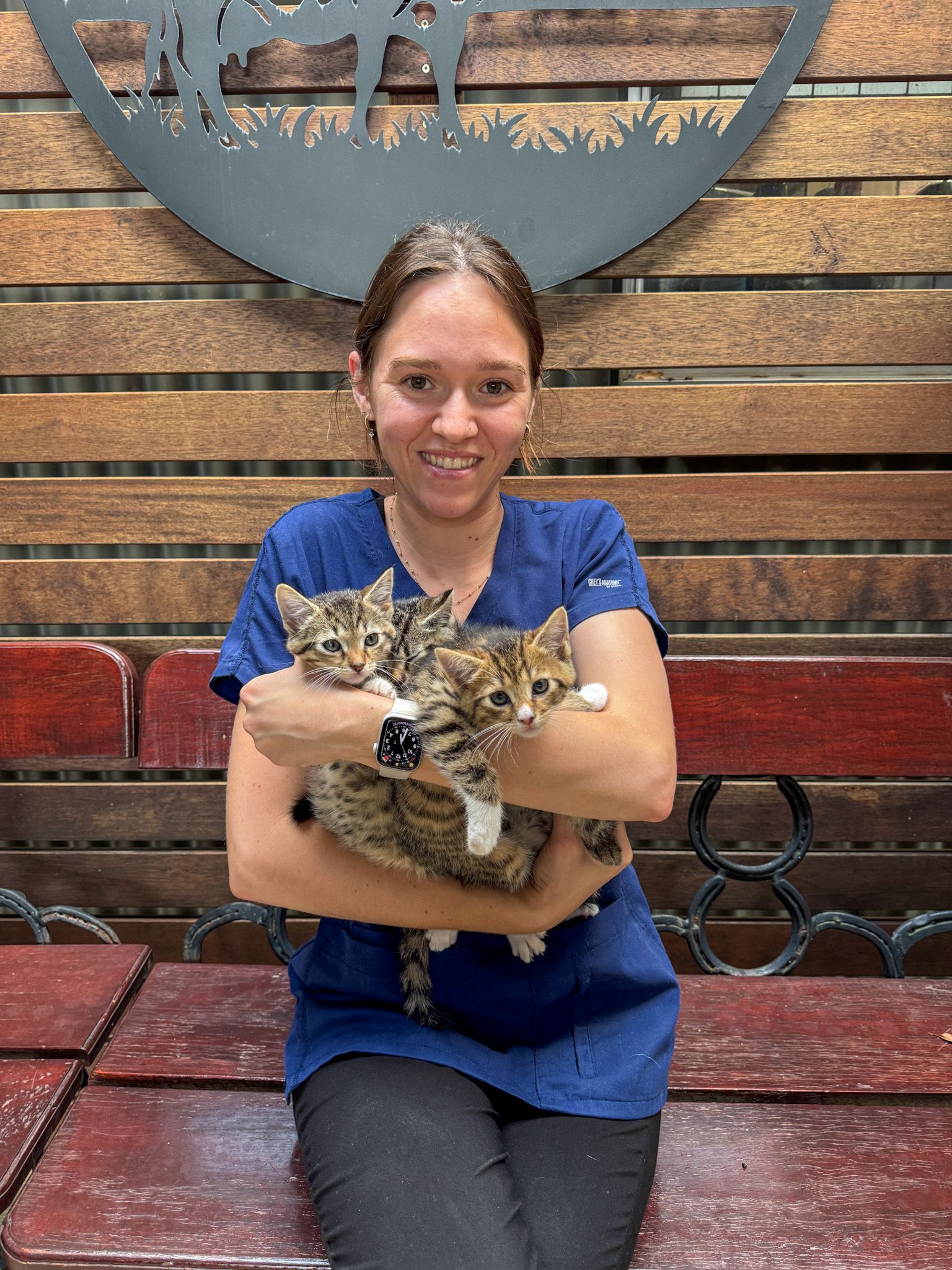 Vet nurse with horse - Grafton Vet