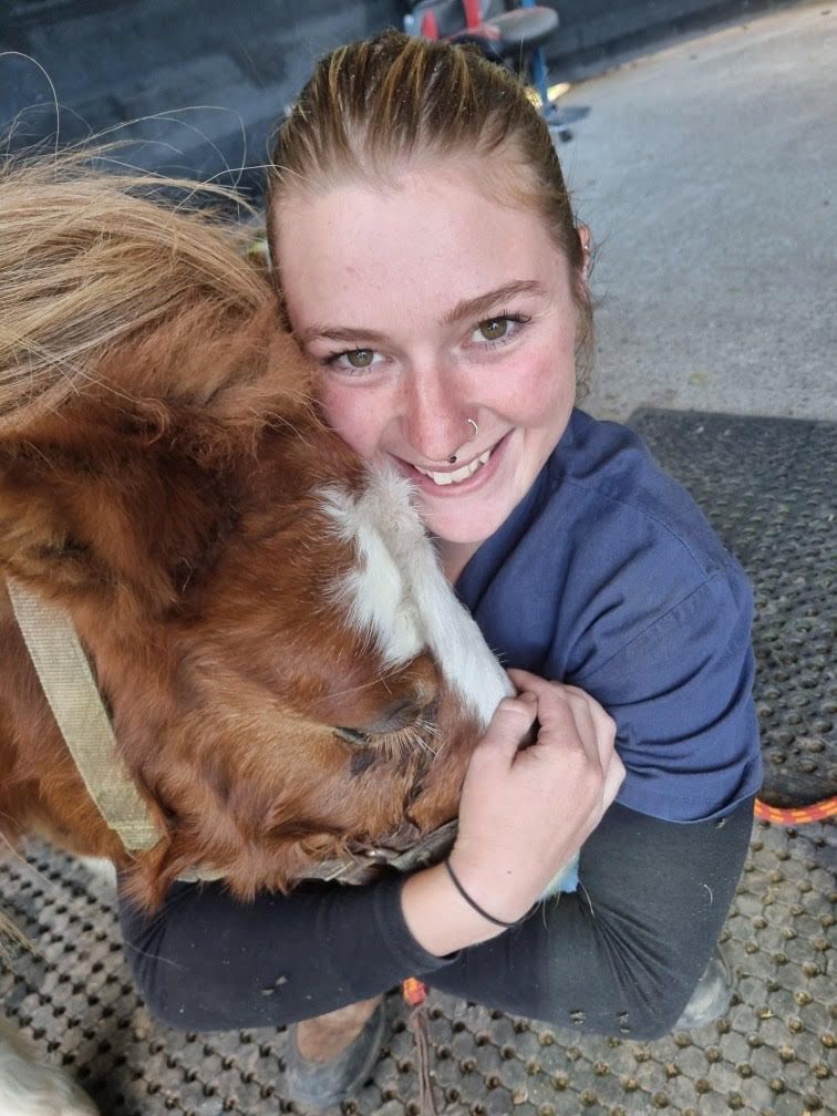 Vet nurse with cow - Grafton Vet
